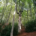 La Torre Della Manca