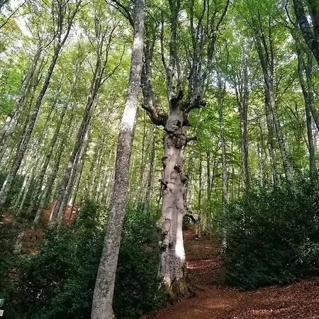La Torre Della Manca